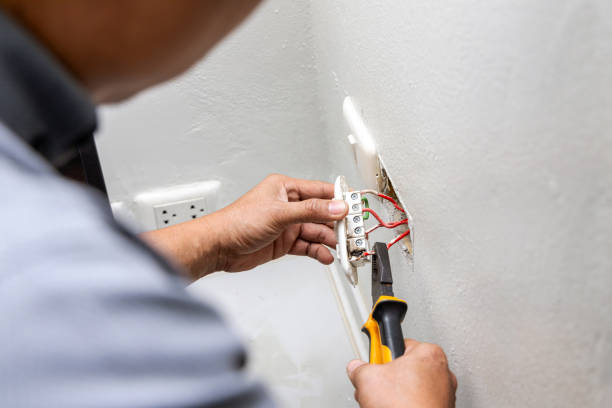 Best Electric Panel Repair  in Julian, CA